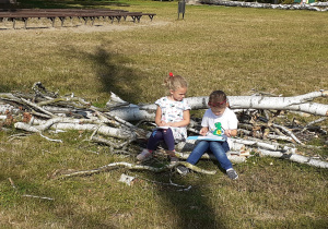 Dwie dziewczynki siedzą na przewróconej brzozie.