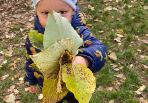 Chłopiec trzyma bukiet jesiennych liści.
