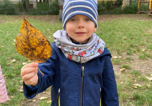 Chłopiec pokazuje pomarańczowo - brązowy liść.