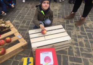Chłopiec kładzie jabłko na skrzyni.