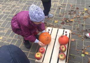 Dziewczynka układa kasztany, dynię i jabłka według wzoru.