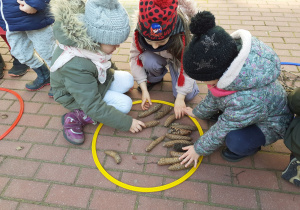 Troje dzieci liczy szyszki zgromadzone w żółtej obręczy.