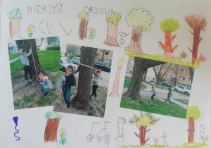 Trzy zdjęcia przedstawiające dzieci mierzące wysokość i obwód drzewa. Dookoła zdjęć narysowane drzewa.