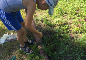 Chłopiec usuwa chwast z kwietnej łąki.