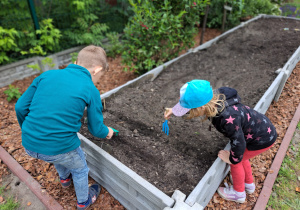 Dzieci za pomocą narzędzi ogrodniczych robią rowki w ziemi.