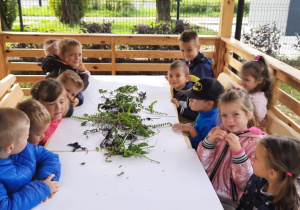 Dzieci siedzą w altanie. Przed nimi na stole leżą zioła zebrane w ogrodzie.