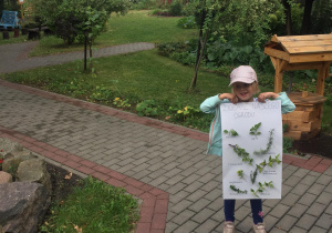 Dziewczynka trzyma plakat przedstawiający zioła naszego ogrodu.
