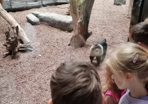 Dzieci zaglądają do wybiegu makaków wanderu.