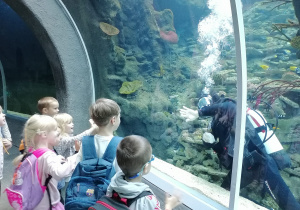 Dzieci machają do nurka, który czyści szybę akwarium od wewnątrz.
