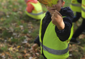 Chłopiec trzyma przed sobą liść klonu w jesiennych barwach.