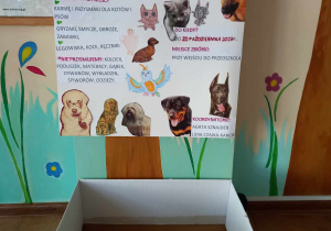Oklejone pudełko i plakat informujący o akcji "pełna paczka dla zwierzaczka". Na plakacie są naklejone obrazki przedstawiające psy i tekst informujący co można przynosić, czego nie i do kiedy trwa akcja.