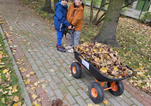 Dwóch chłopców z taczką wypełnioną zgrabionymi liśćmi.