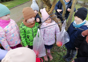 Dzieci stoją dokoła wagi z wieszaka zawieszonej na drzewie. W torekbach są jabłka.