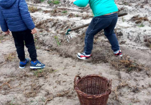 Zdjęcie przedstawia dwóch chłopców na polu. Jeden kopie motyką, drugi się przygląda. Obok nich stoi wiklinowy kosz.