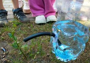 Konewka z plastikowej butelki wykonana przez dzieci.