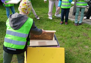 Chłopiec wkłada ramkę z pszczołami do modelu ula.