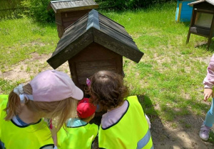 Dzieci oglądają ule w Ogrodzie Botanicznym.