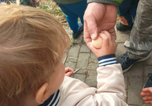 Dziecko trzyma w ręku jajko podawane przez dorosłego.