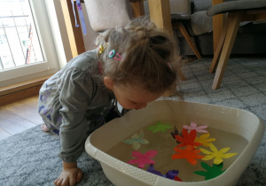 Dziewczynka przygląda się papierowym kwiatkom pływającym w misce z wodą.