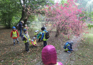 Grupa dzieci zbiera kolorowe liście pod drzewem w parku. 